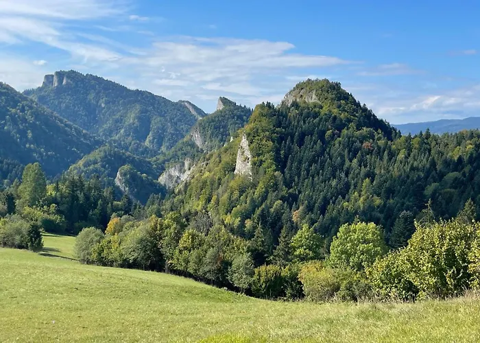 Apartament Pod Modrzewiami