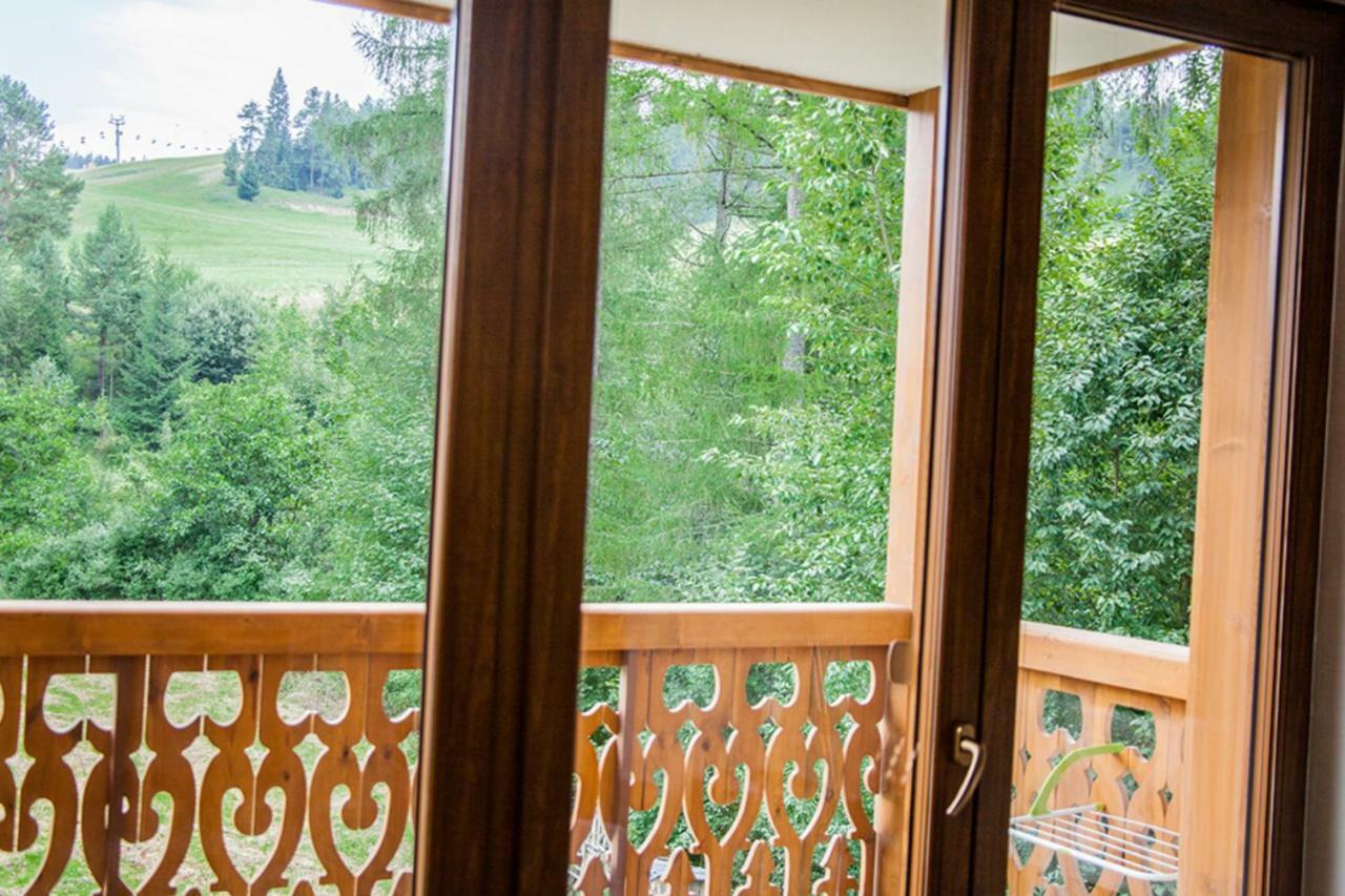 Pod Modrzewiami Szczawnica